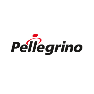 Logo de Pellegrino Distribuidora de Autopeças - Rio de Janeiro