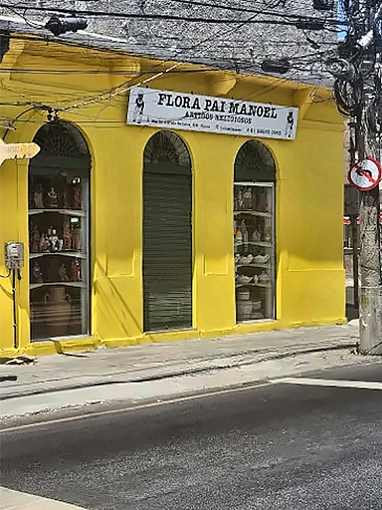 Flora Pai Manoel - imagem 2