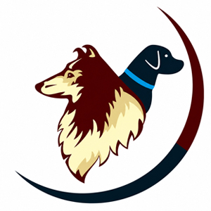 Logo de Pet Shop Belly & Bidu