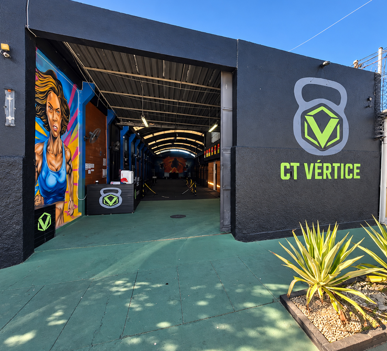 CT Vértice - imagem 3
